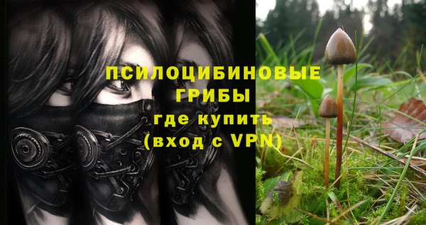 стаф Армянск