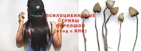 скорость Аркадак