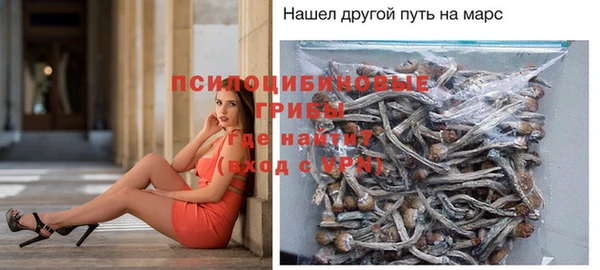 МДМА Арсеньев