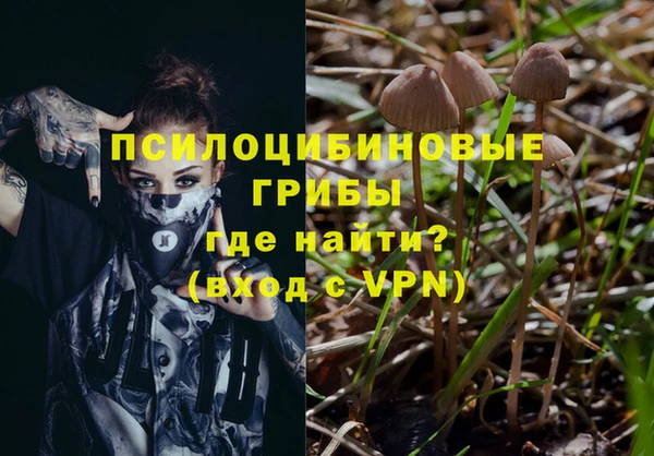 стаф Армянск
